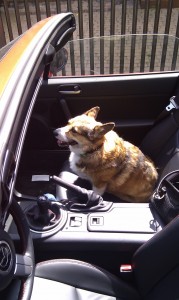 Itek giving me a driving lesson in a red car.